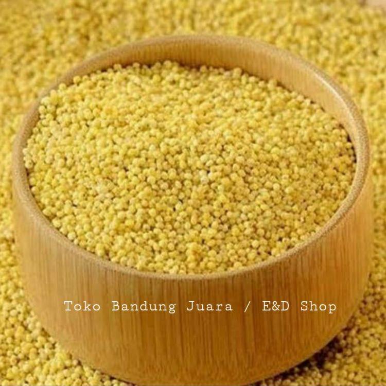 

Get It Now--BIJI KUNYIT / BIJI JAWAK / JEWAWUT / SEKOI / FOXTAIL MILLET KEMASAN 1KG