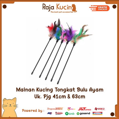 Mainan kucing tongkat bulu ayam lonceng