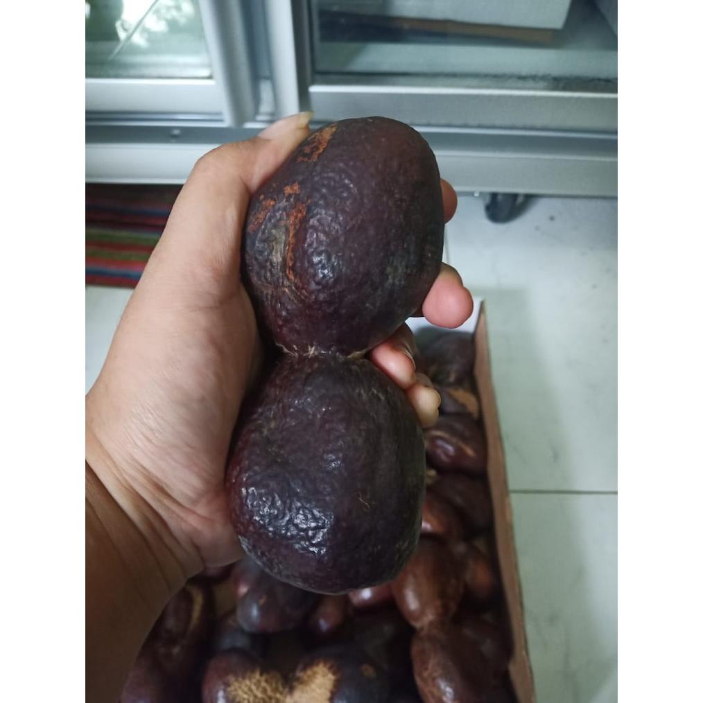 

100 Gr - Buah Zuriat Kembar Madinah