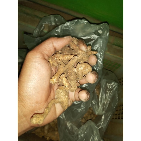 

temu kunci 250gram