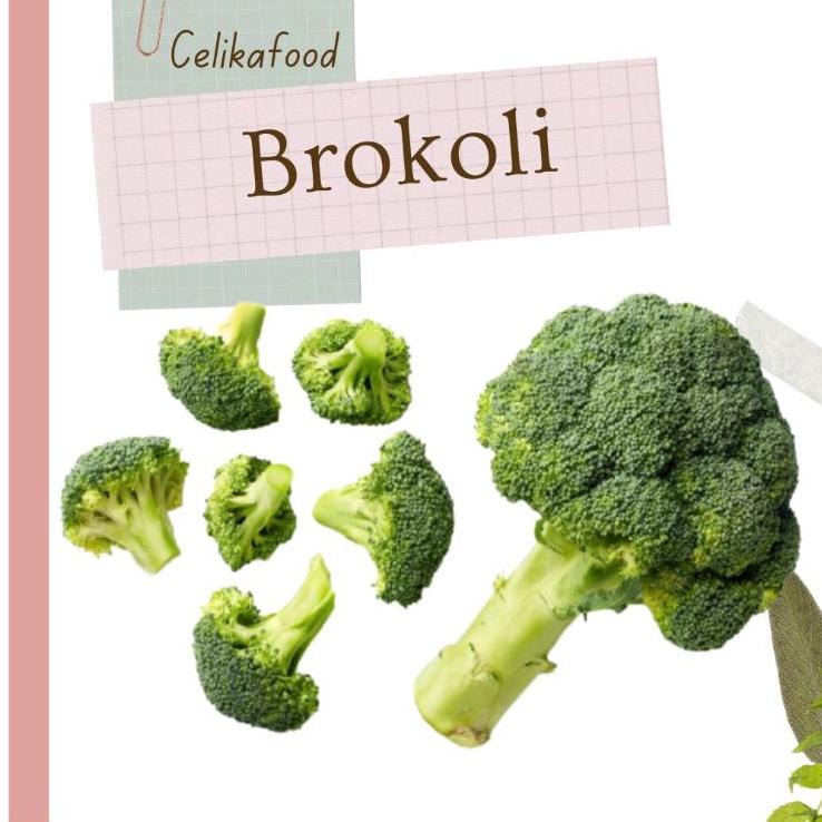 

Terupdate Brokoli Hijau 500 gr Broccoli Brocoli Vegetable Sayur Sayuran Fresh❇