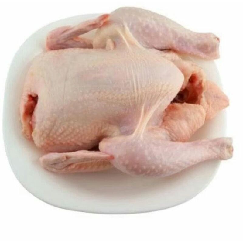 

daging ayam broiler segar berat 1.5kg