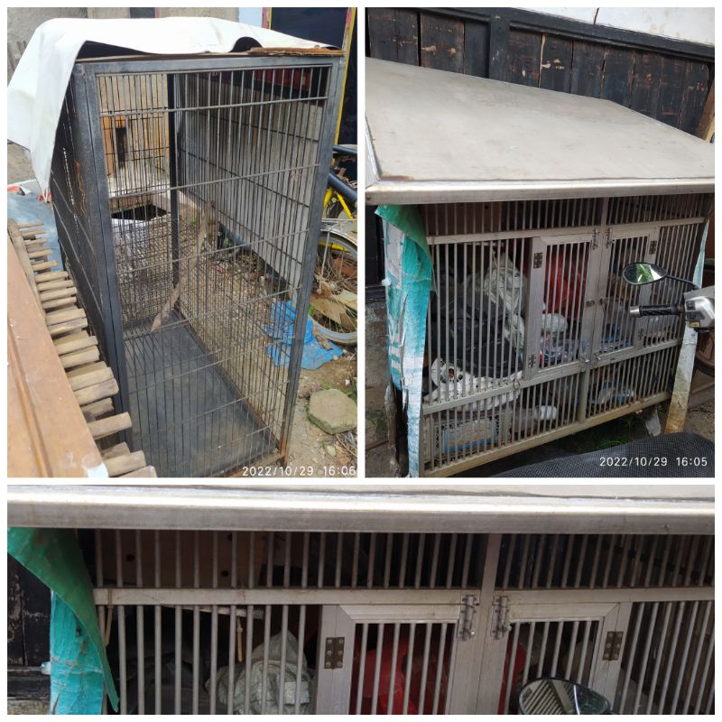 Kandang Musang / kandang Burung / kandang kucing