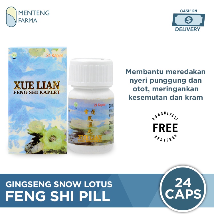 Ginseng Snow Lotus Feng Shi Pill