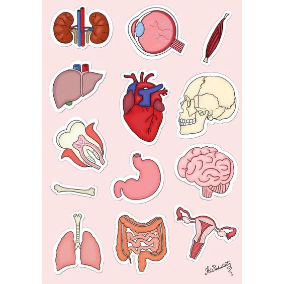

sticker medic sticker anatomi sticker medis stiker scrapbook stiker vintage sticker memo sticker jurnalis