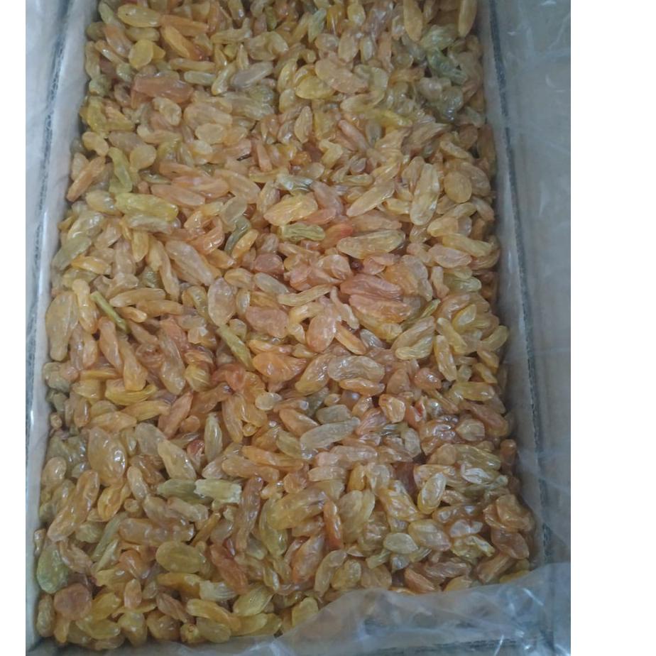 

10.10 sale Kismis Golden Raisin Jumbo 500 gr - Raisins Asam Manis !