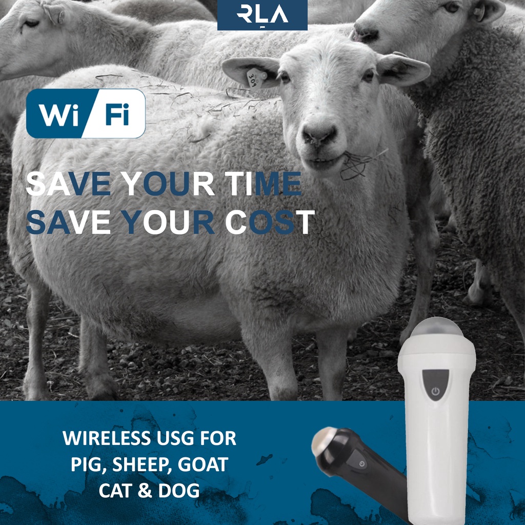 Wireless B Ultrasound - Wifi USG - Alat Cek Kehamilan Hewan - Domba - Check Kandungan - Test Kebunti