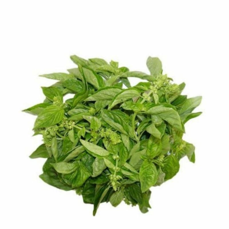 

Kemangi 1 ikat/ sayur murah