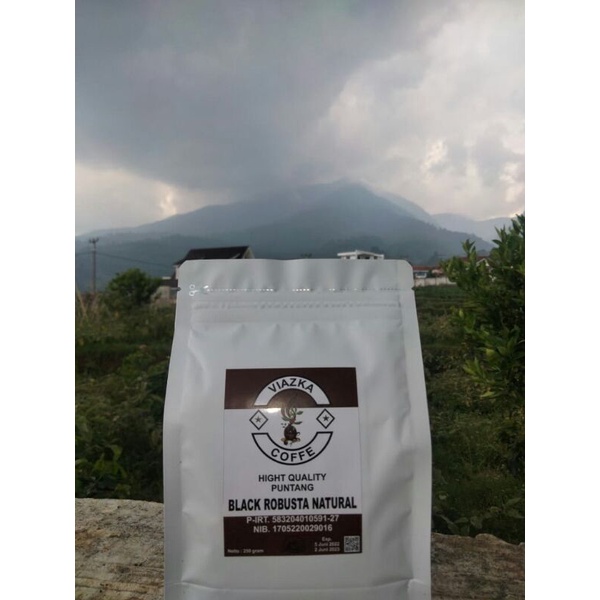 

black Robusta natural puntang