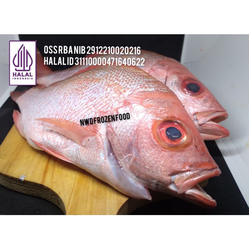 

Ikan Kakap Merah Bersih