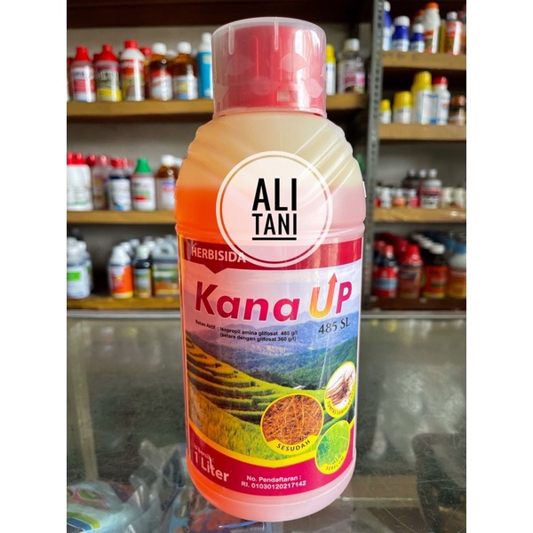 KANA UP 485 SL Kemasan 1 Liter Herbisida/Racun Rumput Sistemik