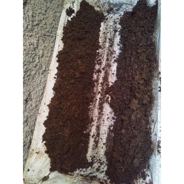 Media Ternak Cacing Tanah 2 KG