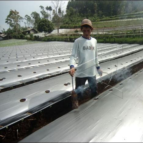 Plastik Mulsa hitam perak roll kecil 120 cm X 50 m pertanian murah
