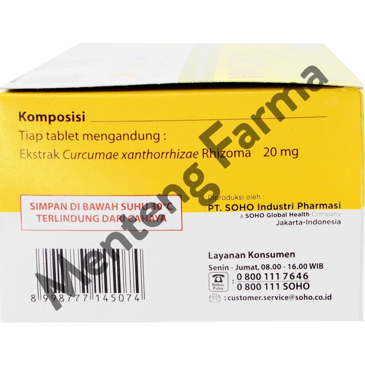 Curcuma 20 Mg 10 Tablet - Suplemen Kesehatan Hati dan Nafsu Makan