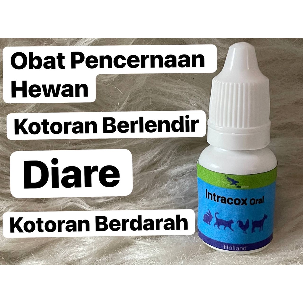 Intracox Oral Obat Koksidiosis Hewan Obat Kotoran Berlendir