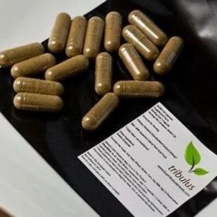 Pembentuk Otot Perut Otot Lengan Terbaik Suplemen Fitnes Obat Kuat