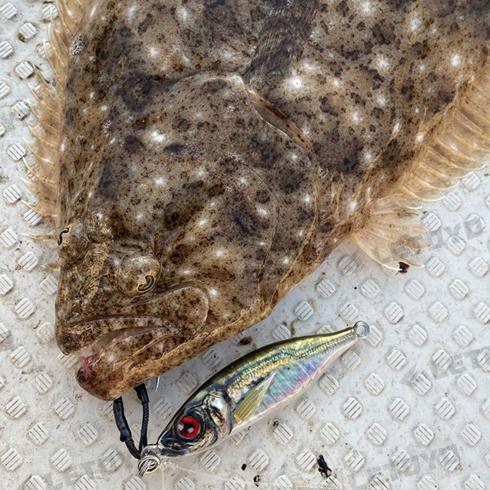 Top Metal Simulasi Memancing Umpan Ikan Kecil Simulasi Ikan Kecil 30G 59MM Double Bass Hook Lead Casting