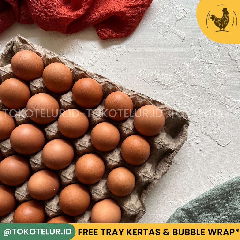 Telur Ayam Negeri Premium Pilihan (30 Butir) 1 Tray - FRESH/Segar