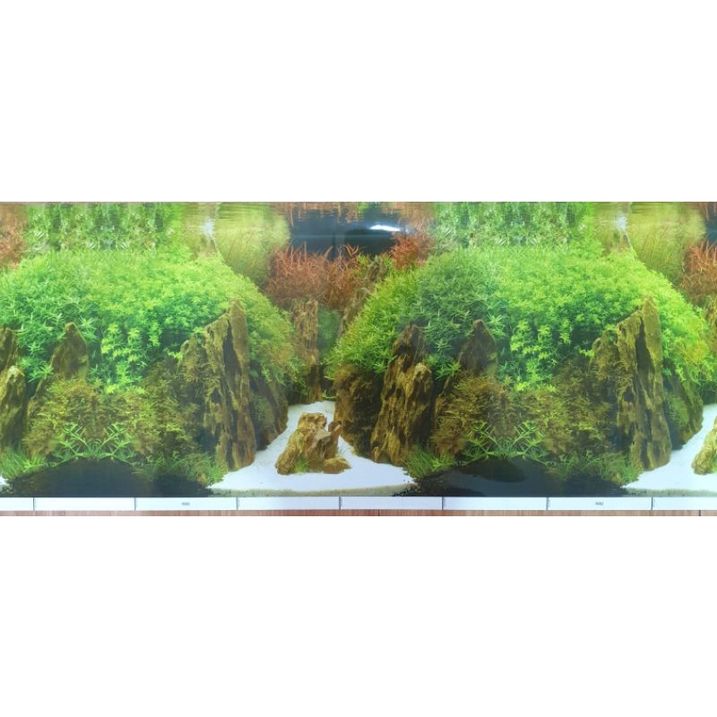 WALLPAPER GAMBAR AQUARIUM AQUASCAPE TINGGI 30CM 3D MOTIF BARU