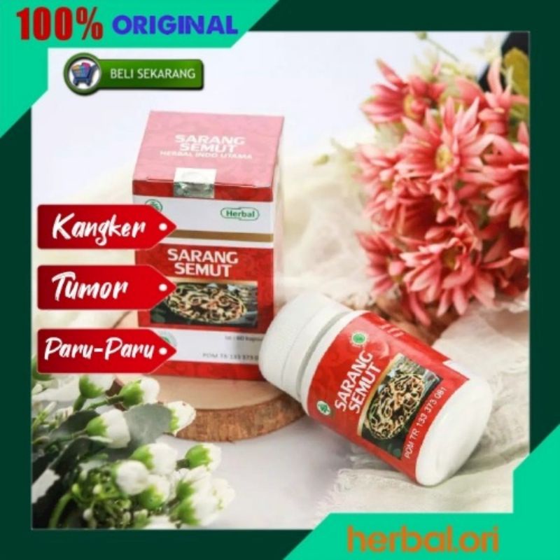 HIU Kapsul Sarang Semut Herbal Kanker Tumor dll