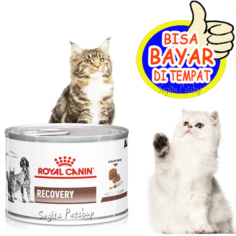 Makanan Kucing Wet Food Royal Canin Recovery