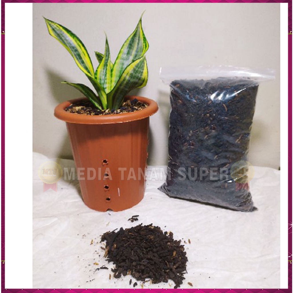 Media tanam Kompos Klenteng Randu