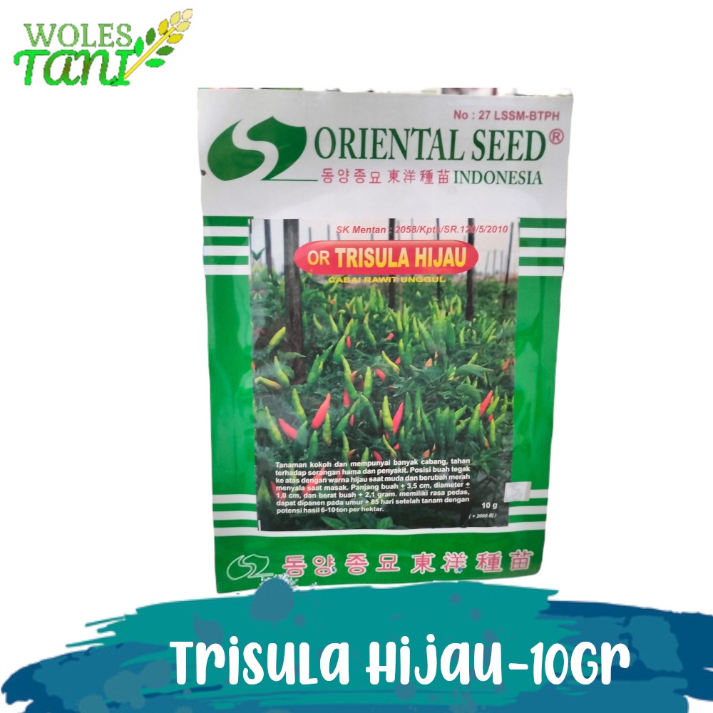 Benih Trisula Hijau 10 Gram Benih Cabe Rawit Hijau Tegak