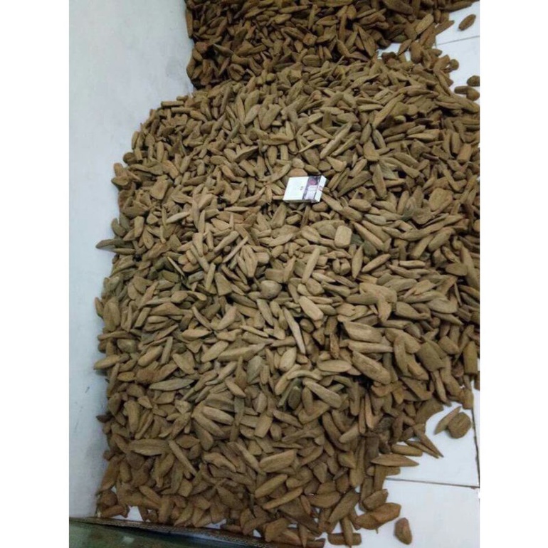 KAYU GAHARU AB SUPER MERAUKE ASLI PREMIUM