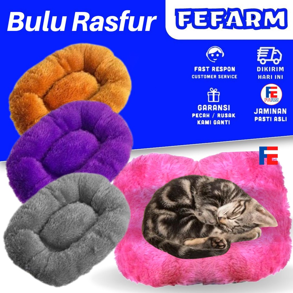 Tempat Tidur Kucing Premium Besar Dan Jumbo Rumah Kucing Kasur Besar Dan Jumbo Alas Tidur Kucing FEFARM