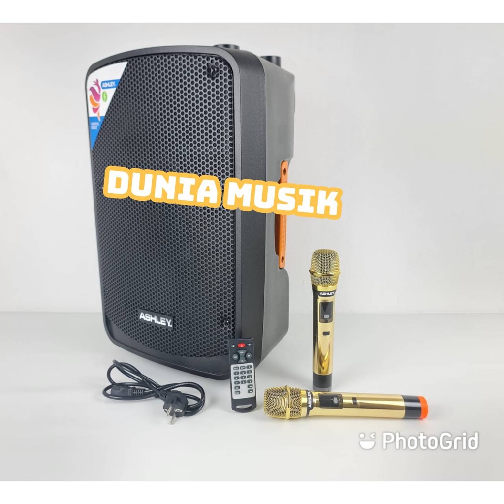 speaker portable ashley ir500 ir 500 / IR500 I R500 ORIGINAL