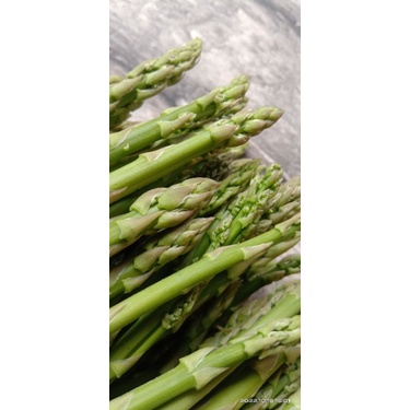 

sayur segar asparagus 500gr