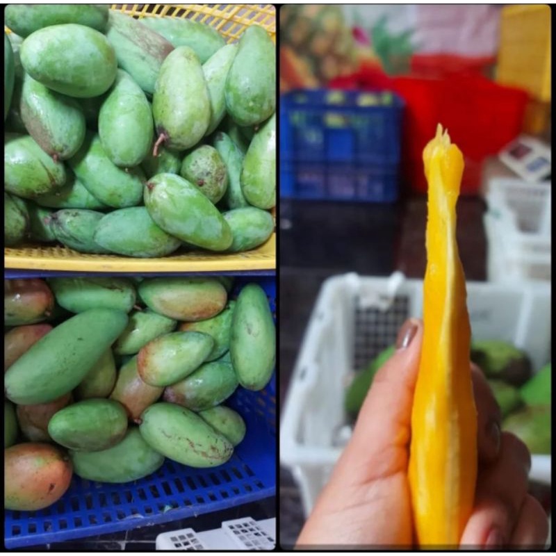 

Mangga Kiojay Thailand -+800gr