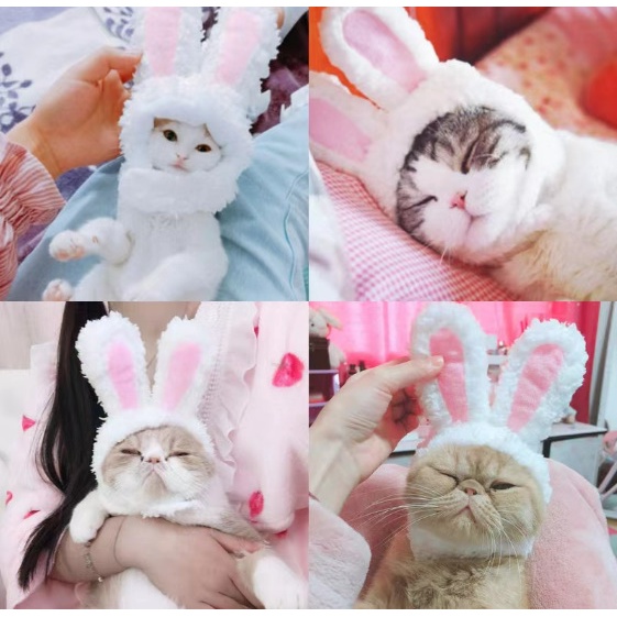 Topi Kelinci Kucing Topi Telinga Kelinci Aksesoris Kucing Bando Kelinci Kucing Pet accecories Topi K