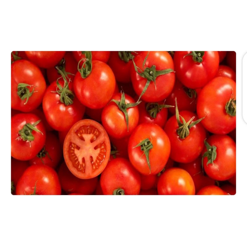 

tomat fresh great A