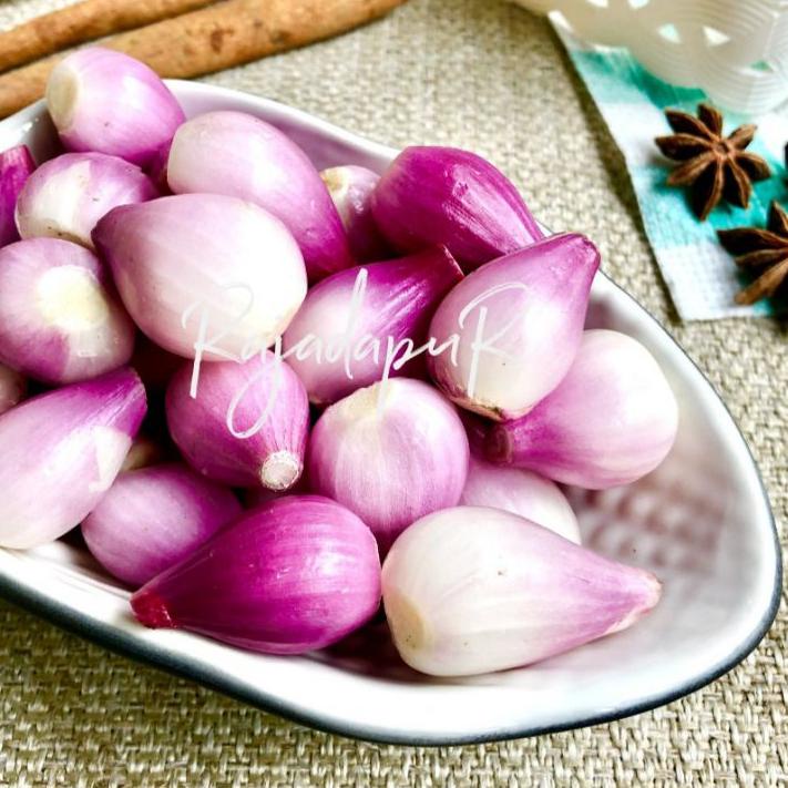 

Terkini EAFEW Bawang Merah Brebes Kupas Besar 1kg ←66 Ready