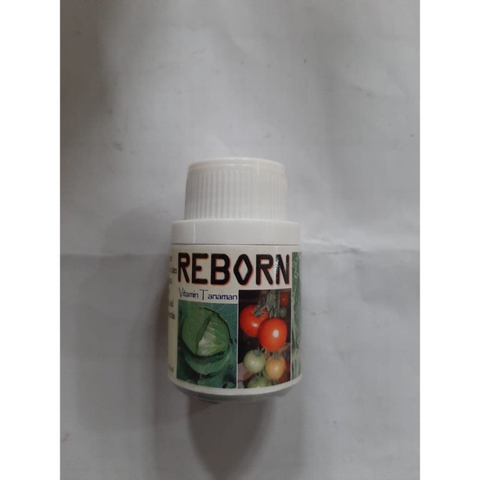 Di5kon Pestisida Reborn Vitamin Tanaman untuk Keriting Daun Cabe Tomat Ulat K &s@