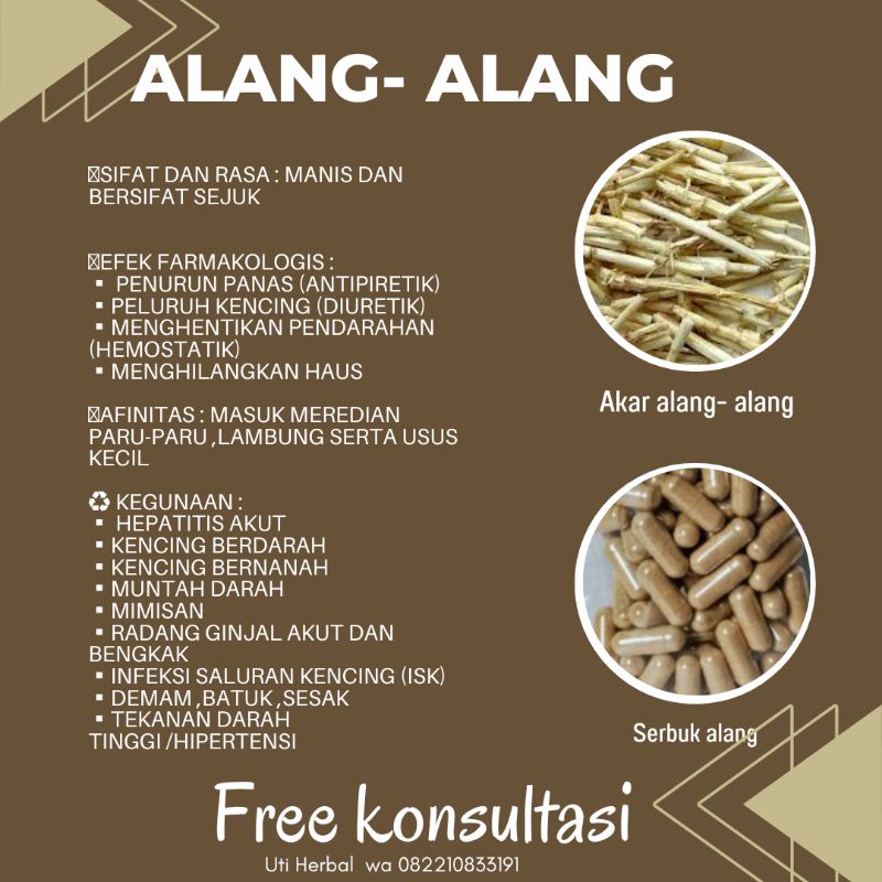 

Alang - alang kapsul