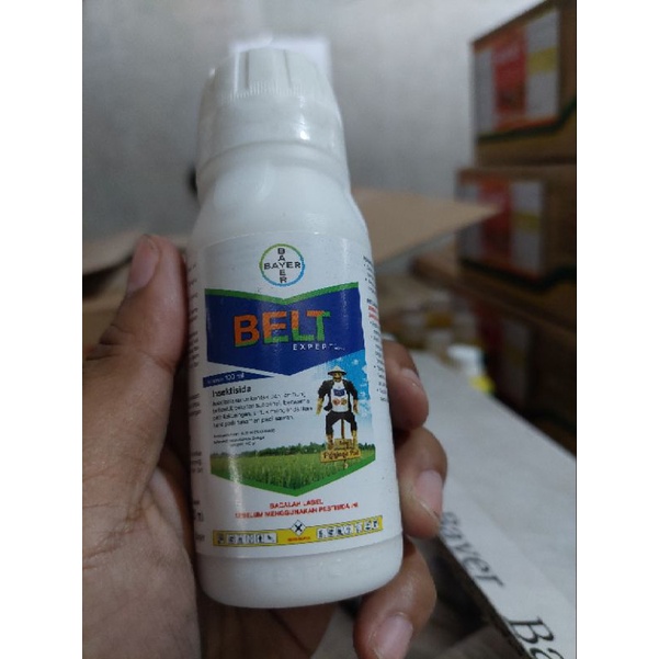 Belt expert 480 SC isi 100 ml Insektisida pestisida