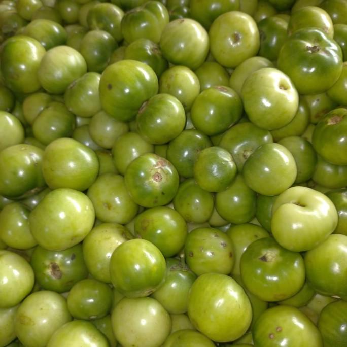 

TERLARIS TOMAT BABY HIJAU 1KG SALE