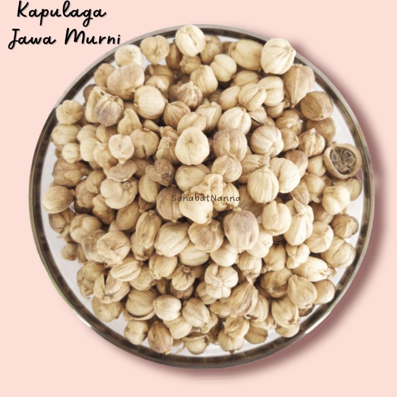 

Kapulaga Jawa Murni 100gr / Kapulaga Lokal / Kapol
