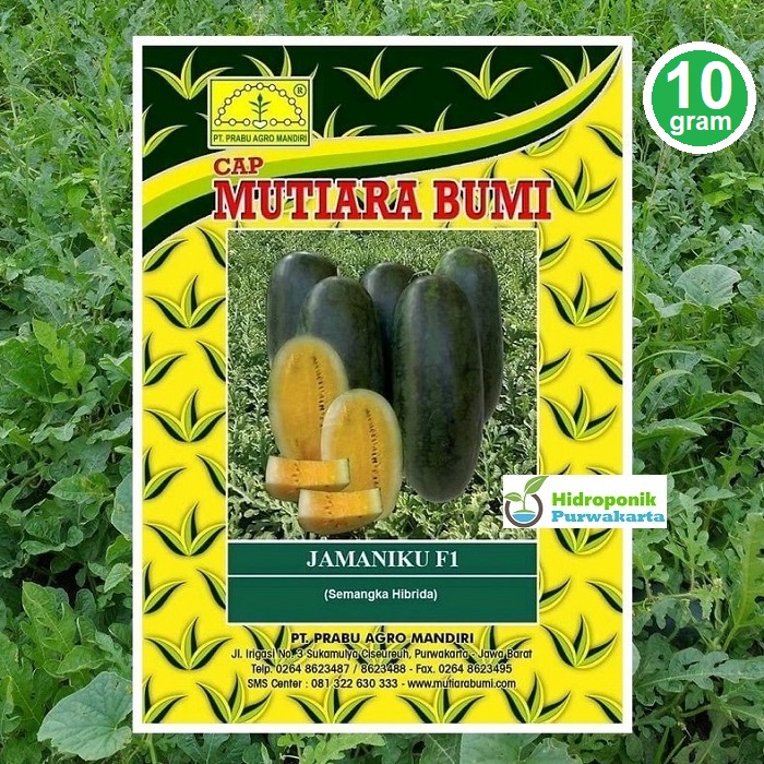 Benih Semangka Inul Daging Kuning JAMANIKU F1 10 Gram Cap Mutiara Bumi