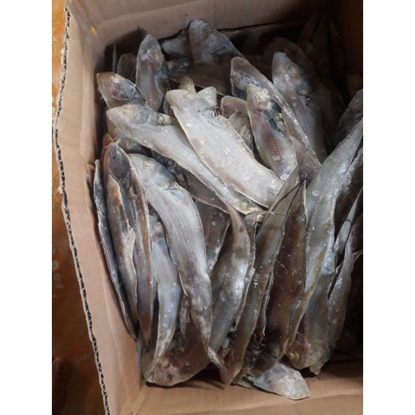 

Ikan asin lidah (1kg)