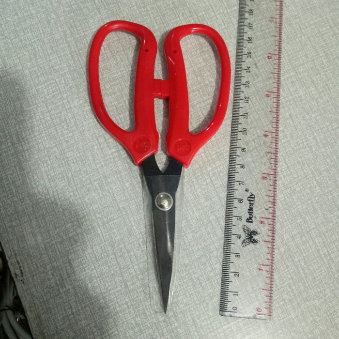 

Produk Unggulan Gunting Kodok Kecil / Gunting Craftman Bagus