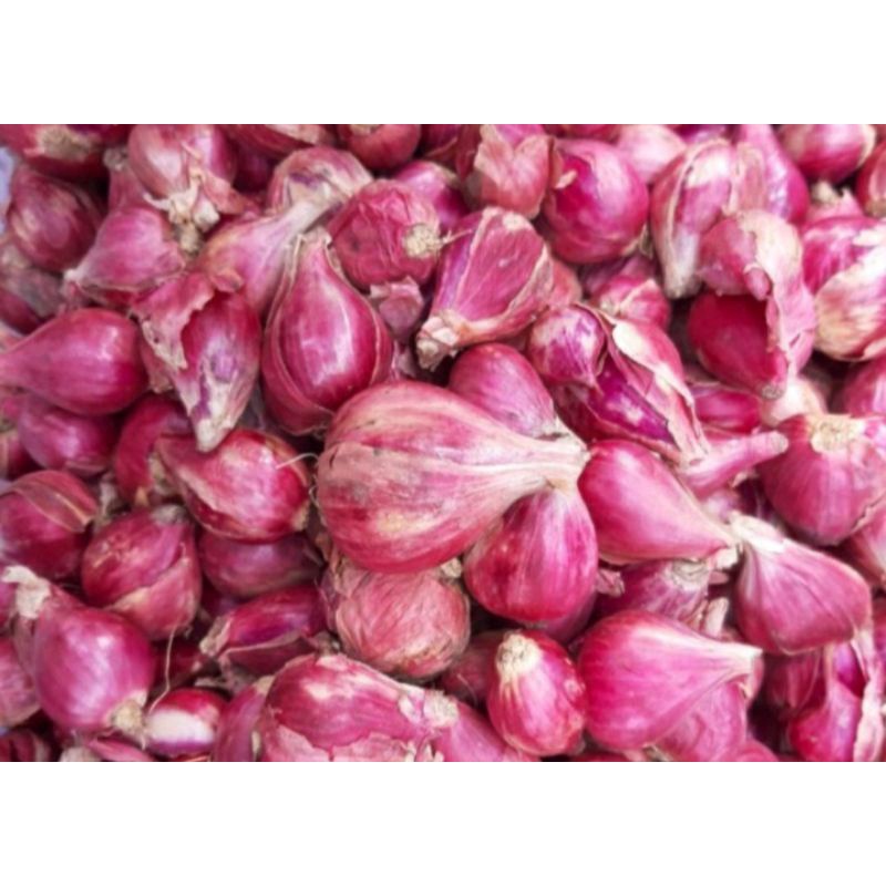 

bawang merah 250 gr