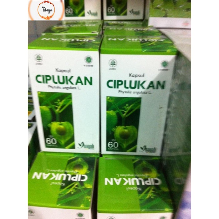 

KAPSUL CIPLUKAN MENGATASI DIABETES MILATUS INAYAH