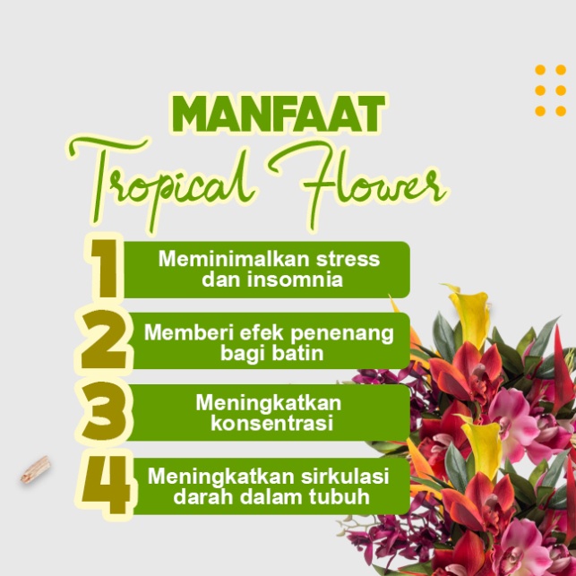 Dupa/Hio Wangi Harum Tropical Flowers Merah Baladewa 3 Jam 50 Stick