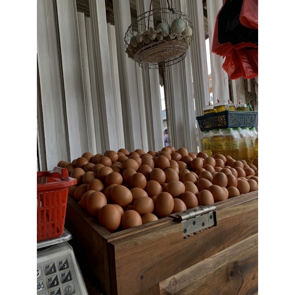

Telor Ayam Fresh 1/2 kg