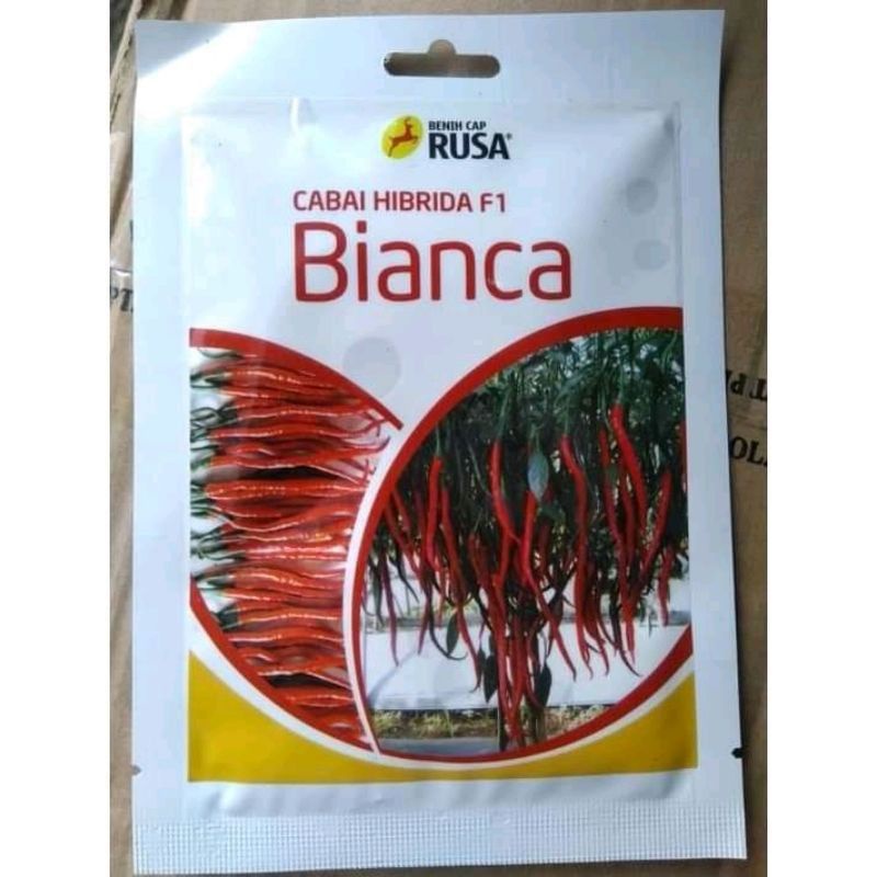 Benih bibit Cabe keriting BIANCA F1 10 gram kemasan original