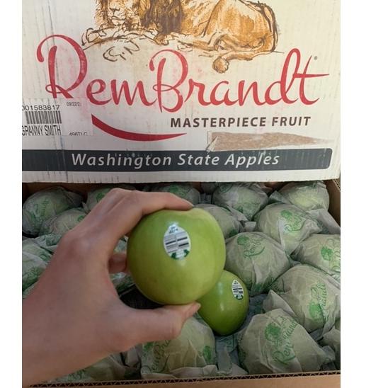 

VO643 Apel Hijau Granny Smith [ 500 gram ] ☎ 18
