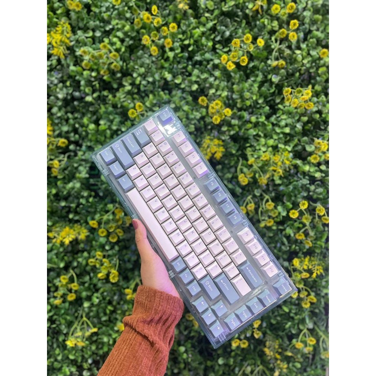 Rexus Daxa M84X Ultimate Wireless Gaming RGB Keyboard M84 X M 84